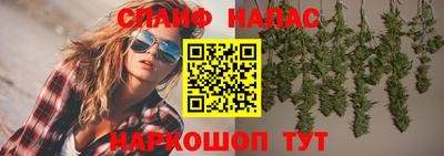 стафф Туймазы