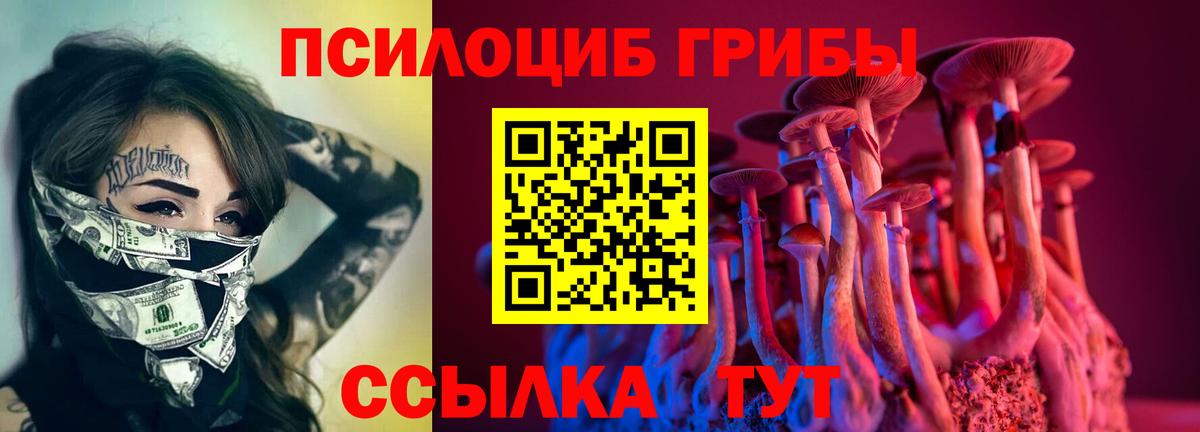 Псилоцибиновые грибы ЛСД Архангельск