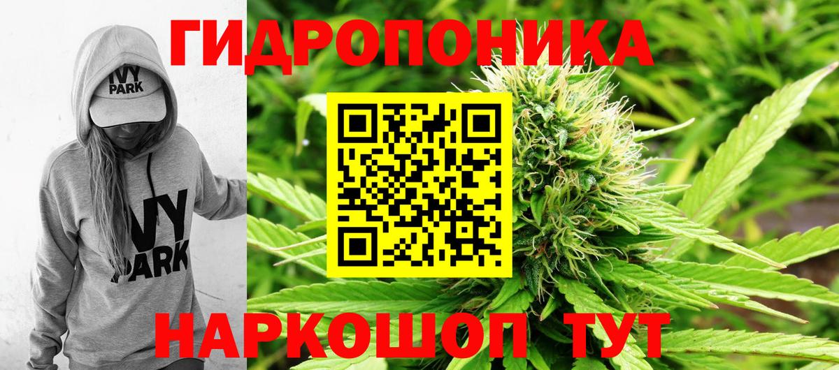 Шишки марихуана VHQ  Вход с VPN  Конопля VHQ  Конопля планчик  Архангельск  МАРИХУАНА White Widow 
